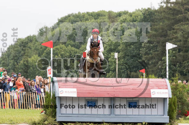 FEI European Championship Eventing 2017