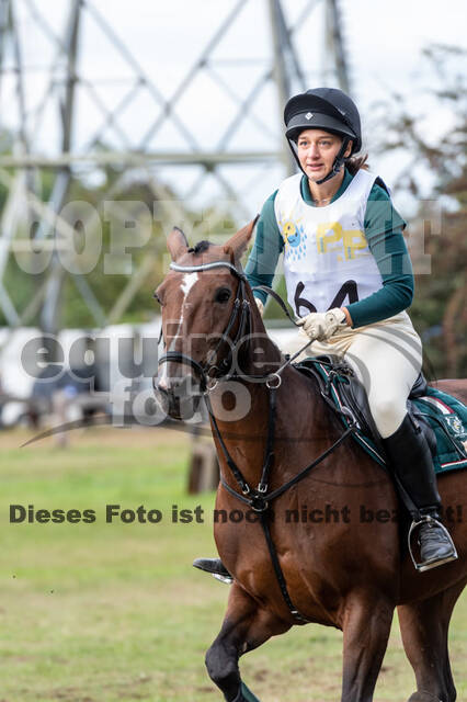 Vielseitigkeit RSV Wesel Obrighoven (26.+27.09.2020)