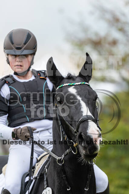 Goldene Schärpe 2020 - Pferde