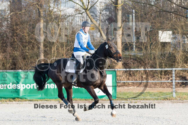 Eventing Langenfeld 2018