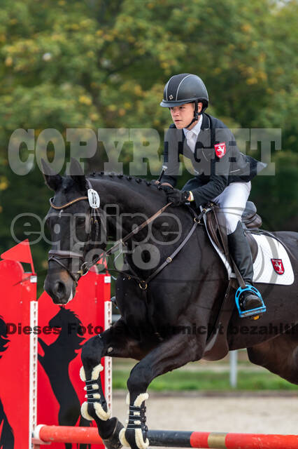 Goldene Schärpe 2020 - Pferde