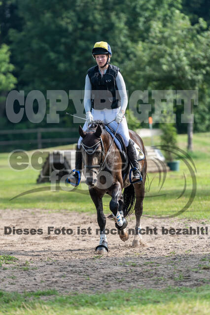 Goldene Schärpe 2021 - Ponys