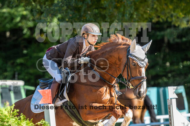 RFV Dinslaken-Hiesfeld (Herbstturnier)