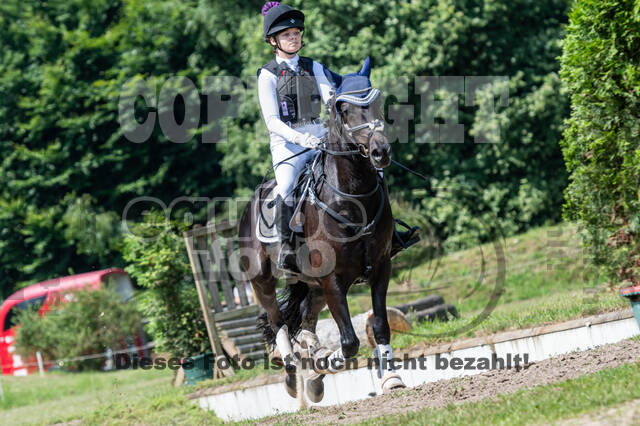 Goldene Schärpe 2021 - Ponys