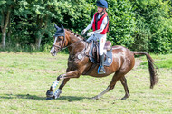 Goldene Schärpe 2021 - Ponys