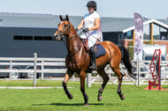 Kronenberg - De Peelbergen (August 2020)