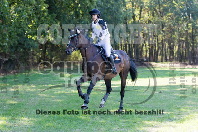 Vielseitigkeitsturnier RSV St. Hubertus Wesel Obrighoven