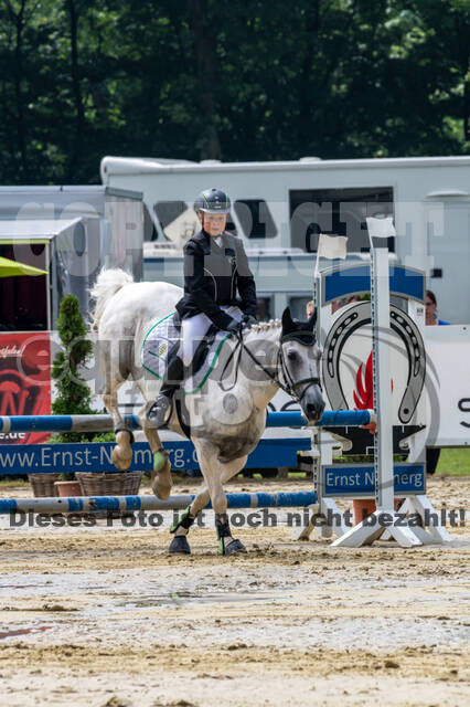 Goldene Schärpe 2021 - Ponys