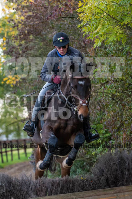 Vielseitigkeitslehrgang mit Jürg Kurbel (9.+10.11.2019)