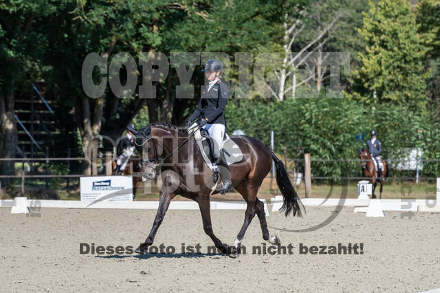 Kronenberg - De Peelbergen (August 2020)