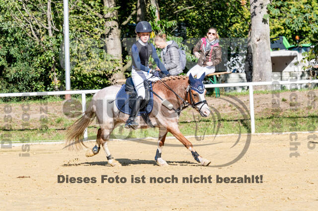 RFV Dinslaken-Hiesfeld (Herbstturnier)