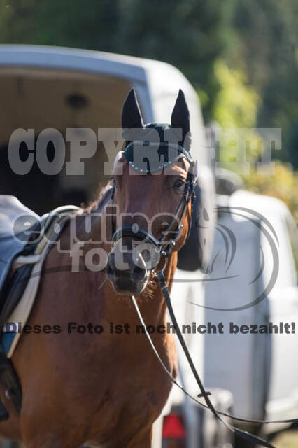Vielseitigkeitsturnier RSV St. Hubertus Wesel Obrighoven