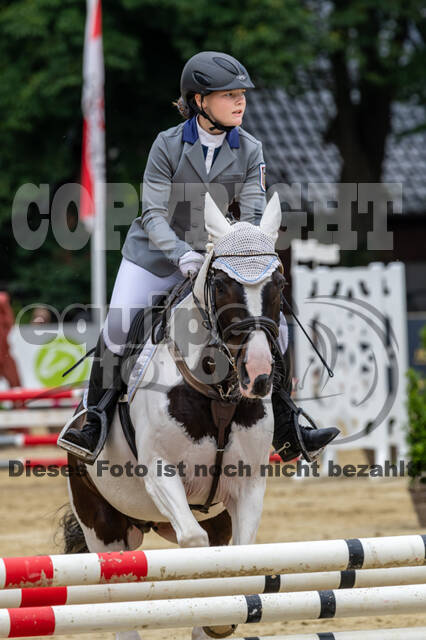 Goldene Schärpe 2021 - Ponys