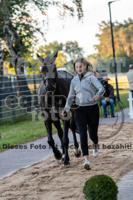Deutsche Meisterschaft Vielseitigkeit (Luhmühlen)