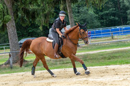 Hunter Geländetraining 10.07.2021 (Sonsbeck)