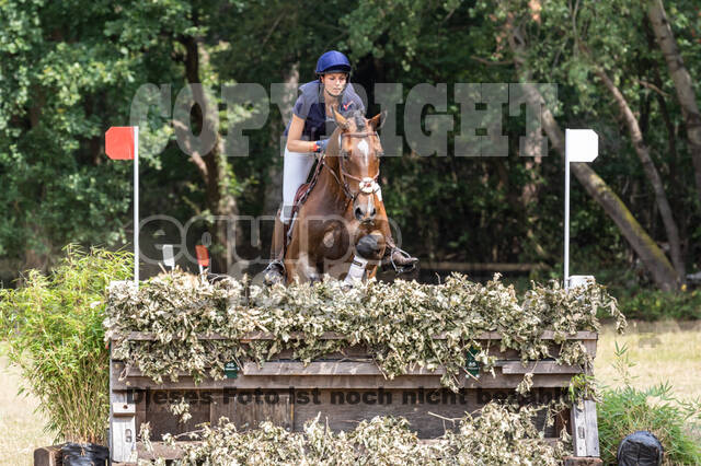 Late-Entry Vielseitigkeit Hamminkeln/Wesel (01.+02.08.2020)