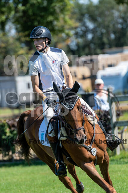 Kronenberg - De Peelbergen (August 2020)