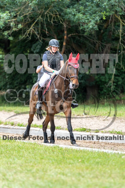 Late-Entry-Vielseitigkeit Langenfeld (11.+13./14.06.2020)