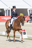 FEI European Championship Eventing 2017