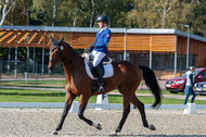 Deutsche Meisterschaft Vielseitigkeit (Luhmühlen)