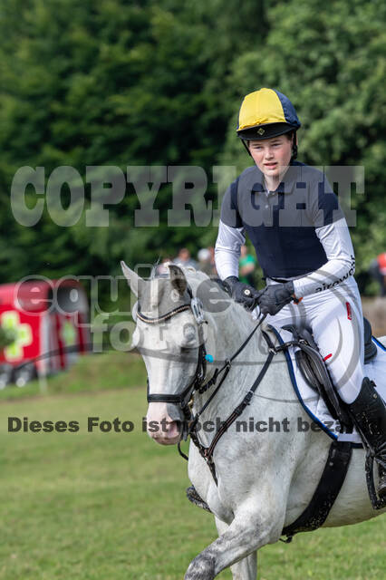 Goldene Schärpe 2021 - Ponys