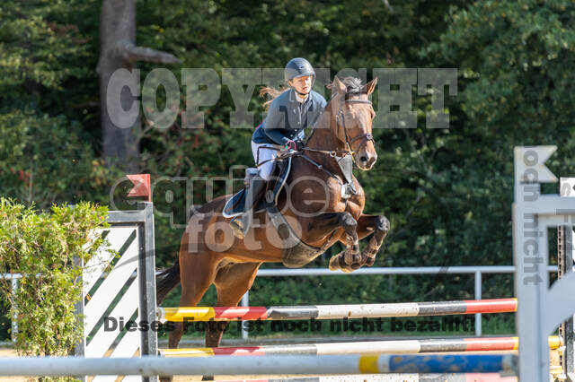 RFV Dinslaken-Hiesfeld (Herbstturnier)