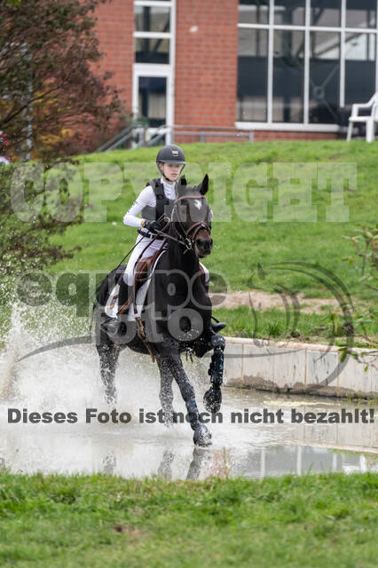 Goldene Schärpe 2020 - Pferde