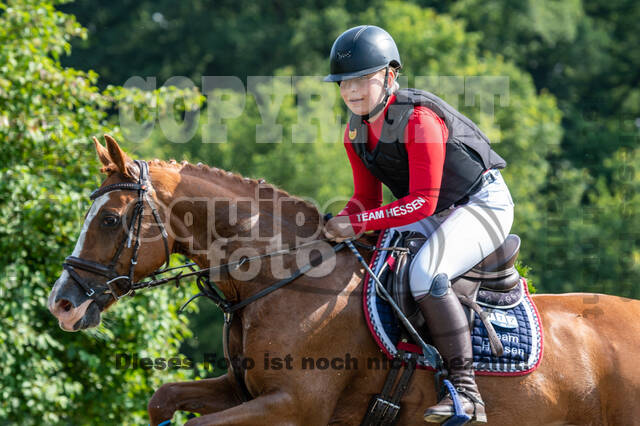 Goldene Schärpe 2021 - Ponys