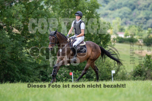 Bonn-Rodderberg Late-Entry-Vielseitigkeit (30.06.2020)