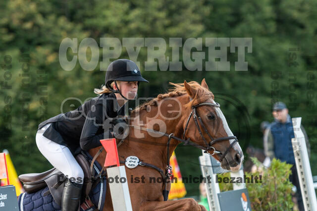 RFV Dinslaken-Hiesfeld (Herbstturnier)