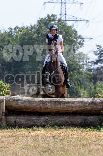 Late-Entry Vielseitigkeit Hamminkeln/Wesel (01.+02.08.2020)