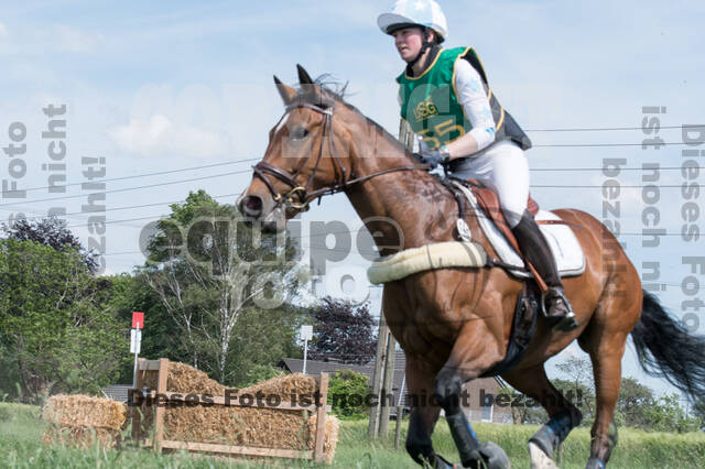 Vielseitigkeitsturnier ZRuFV von Lützow Hamminkeln