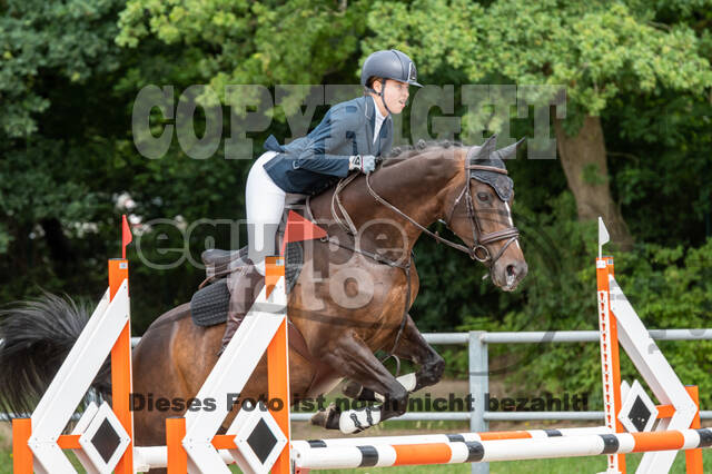 Late-Entry-Vielseitigkeit Langenfeld (06.+07.07.2020)