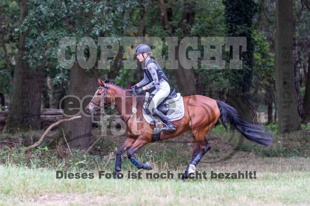 Late-Entry Vielseitigkeit Hamminkeln/Wesel (01.+02.08.2020)