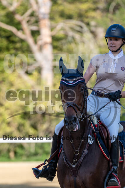 RFV Dinslaken-Hiesfeld (Herbstturnier)