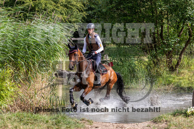 Late-Entry Vielseitigkeit Hamminkeln/Wesel (01.+02.08.2020)