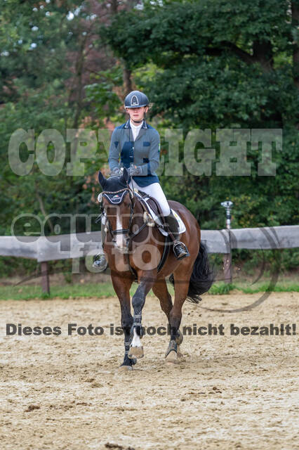 Vielseitigkeit RSV Wesel Obrighoven (26.+27.09.2020)