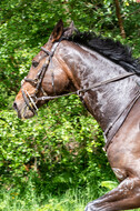 Westerstede Horse Trials 2021
