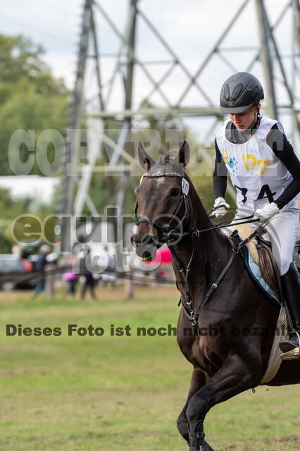 Vielseitigkeit RSV Wesel Obrighoven (26.+27.09.2020)