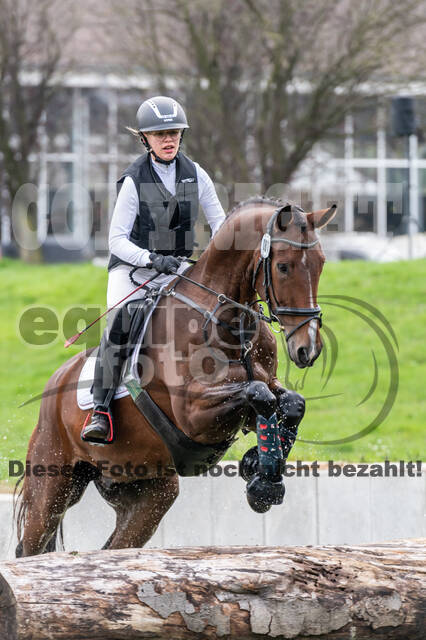 Goldene Schärpe 2020 - Pferde