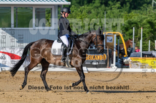 Westerstede Horse Trials 2021