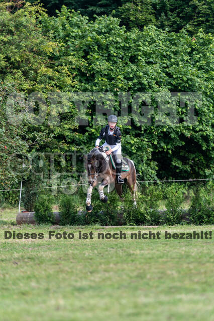 Goldene Schärpe 2021 - Ponys