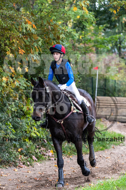 Goldene Schärpe 2020 - Pferde