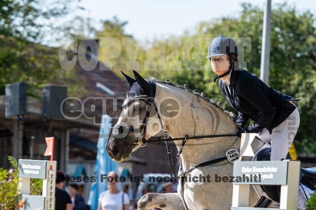 RFV Dinslaken-Hiesfeld (Herbstturnier)
