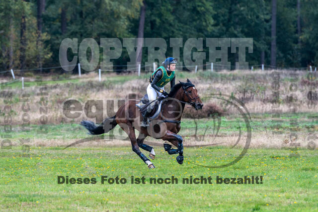Deutsche Meisterschaft Vielseitigkeit (Luhmühlen)