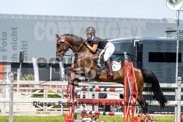 Kronenberg - De Peelbergen (August 2020)