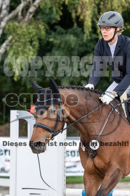 Late-Entry-Vielseitigkeit Langenfeld (06.+07.07.2020)