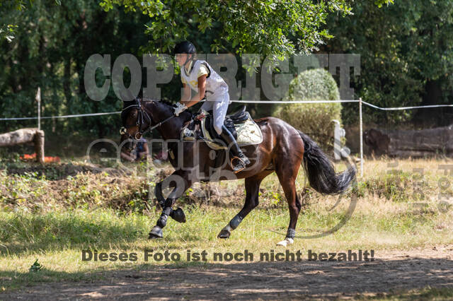 Late-Entry Vielseitigkeit Hamminkeln/Wesel (01.+02.08.2020)