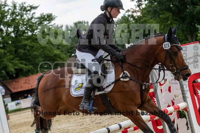 Goldene Schärpe 2021 - Ponys