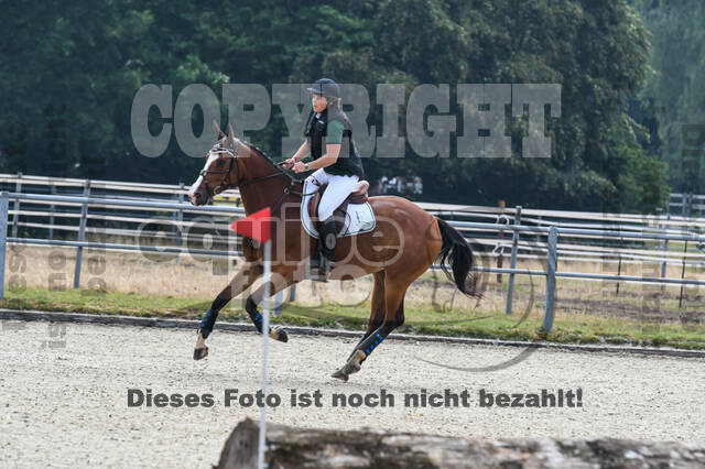 Late-Entry-Vielseitigkeit Langenfeld (11.+13./14.06.2020)
